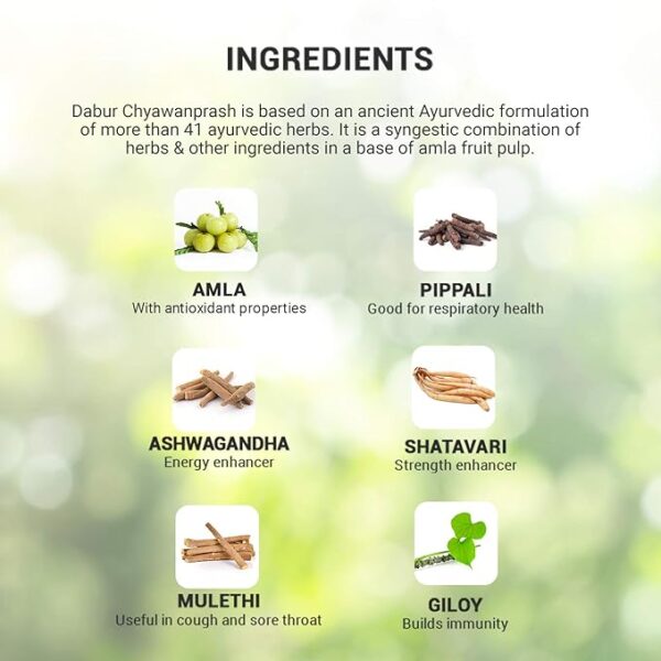 Dabur Chyawanprakash sugar free - 500 gm - Image 4