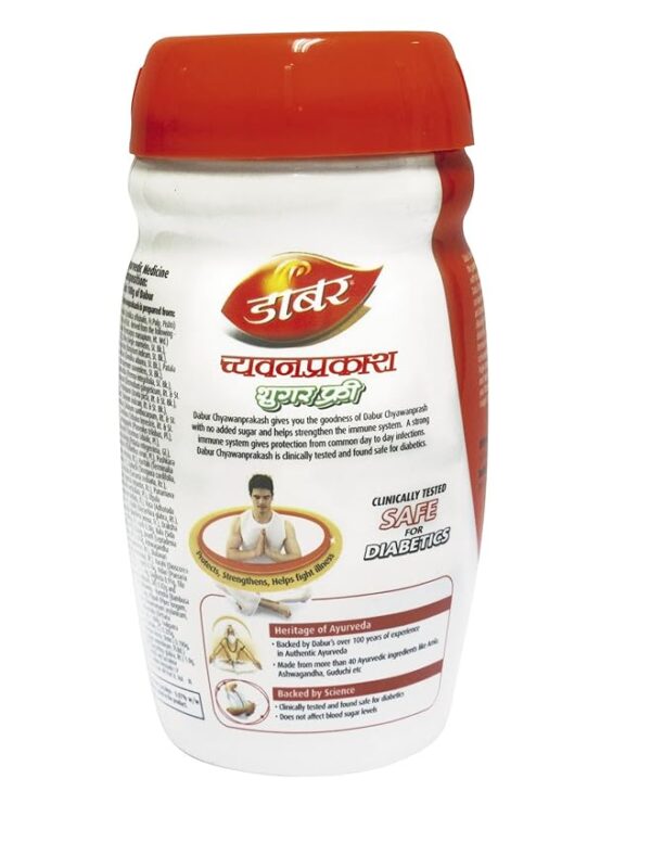Dabur Chyawanprakash sugar free - 500 gm - Image 2