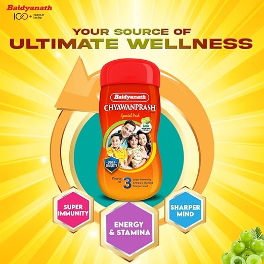 Baidyanath Chyawanprash Special 250g - Image 4