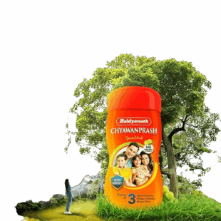 Baidyanath Chyawanprash Special - 950g