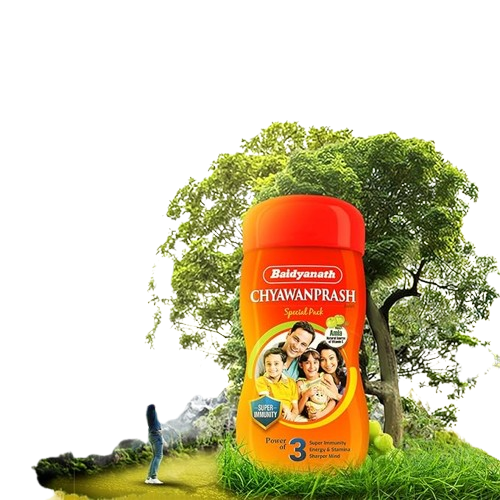 Baidyanath Chyawanprash Special - 950g