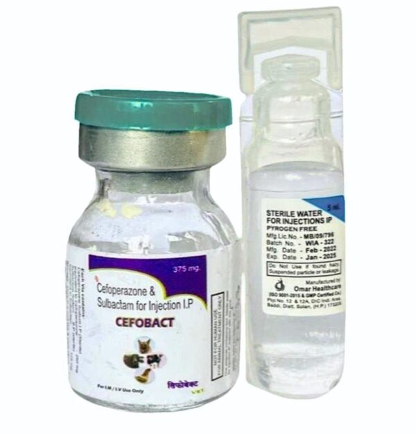 Cefobang 375mg Injection 1*1vail