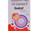 Gudcef Dry Syrup 1*30ML