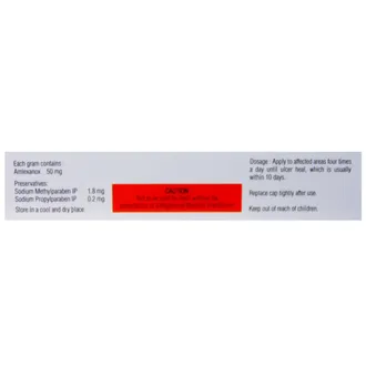 Lexanox Oral Paste 5gm - Image 3