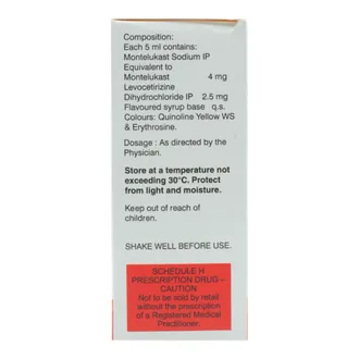 Montina -L 60Ml Syp - Image 4