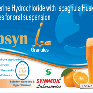 Mebsyn Granules Tangy Orange