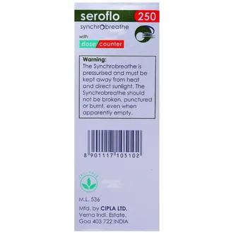 Seroflo 250 Synchrobreathe - Image 2