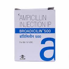 Broadicilin 500mg Injection
