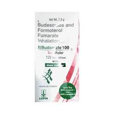 Budamate 100 Inhelar 1*17gm - Image 7