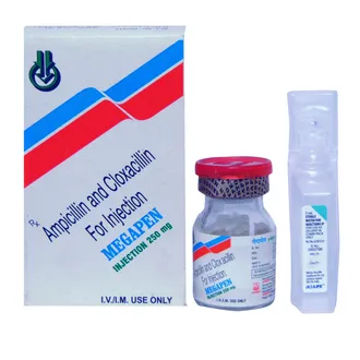 MEGAPEN 250MG INJECTION 1*1