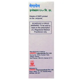 MEGAPEN 250MG INJECTION 1*1 - Image 2
