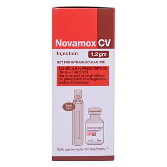 Novamox CV 1.2gm Injection 1*1vail - Image 4